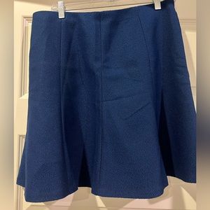 Ann Taylor skirt